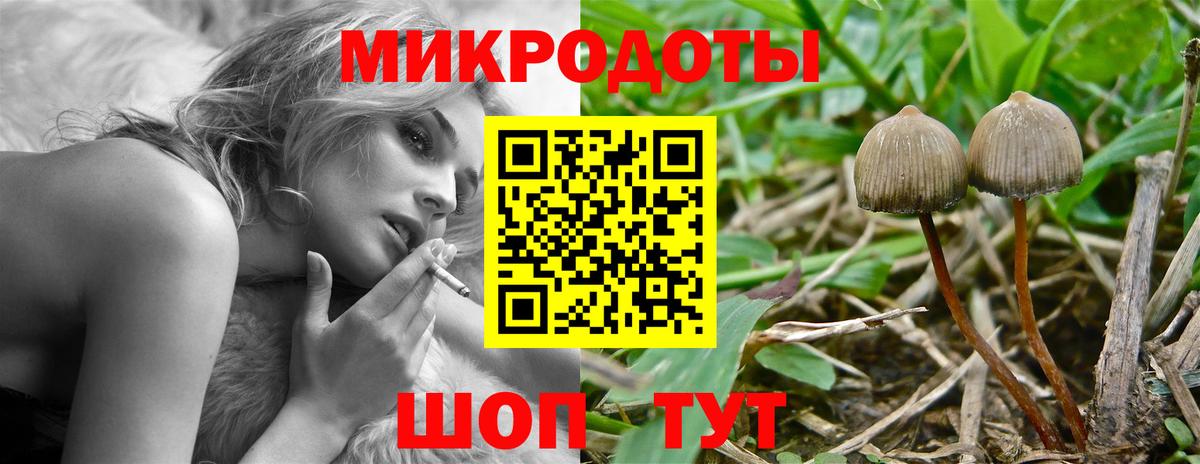 Галлюциногенные грибы GOLDEN TEACHER  Вход с VPN  цена наркотик  Ханты-Мансийск 